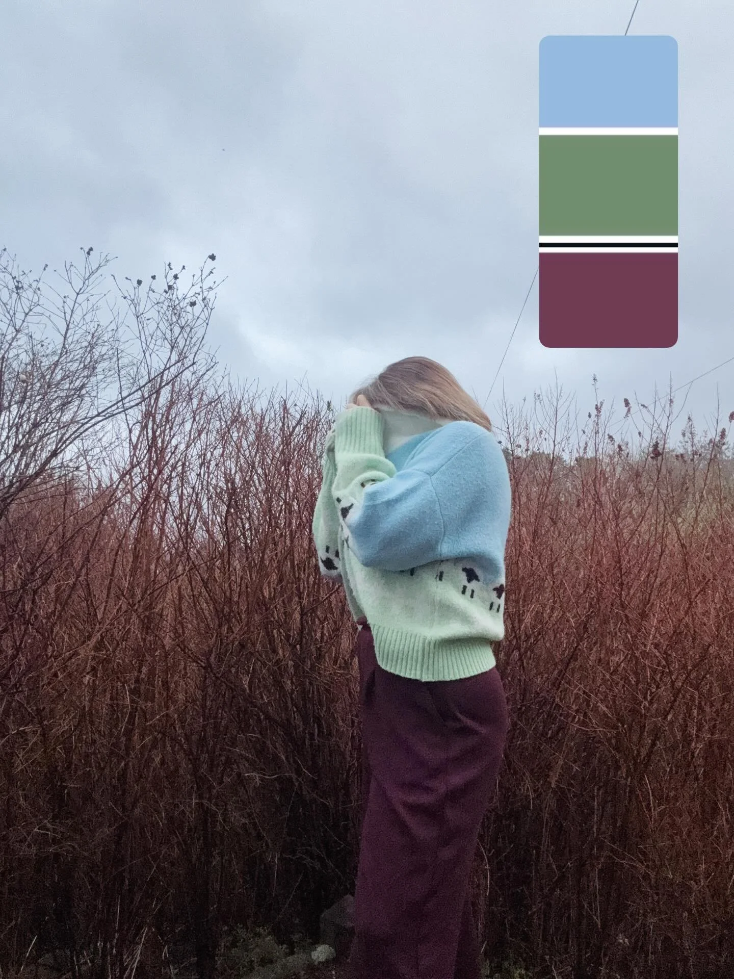 PRETTY PALETTE 
When Winter becomes Spring&hellip; still waiting on the wether to catch up @pantone @thecolourfuledit