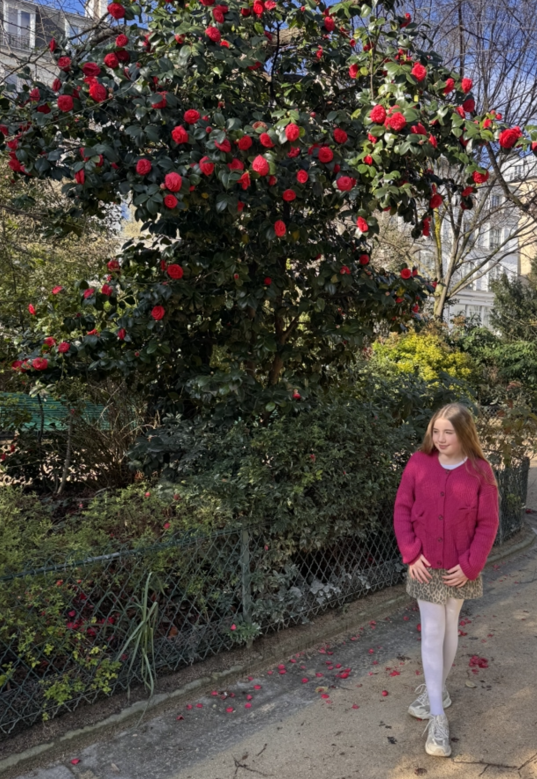 Screenshot 2026-03-25 at 18.25.17.png