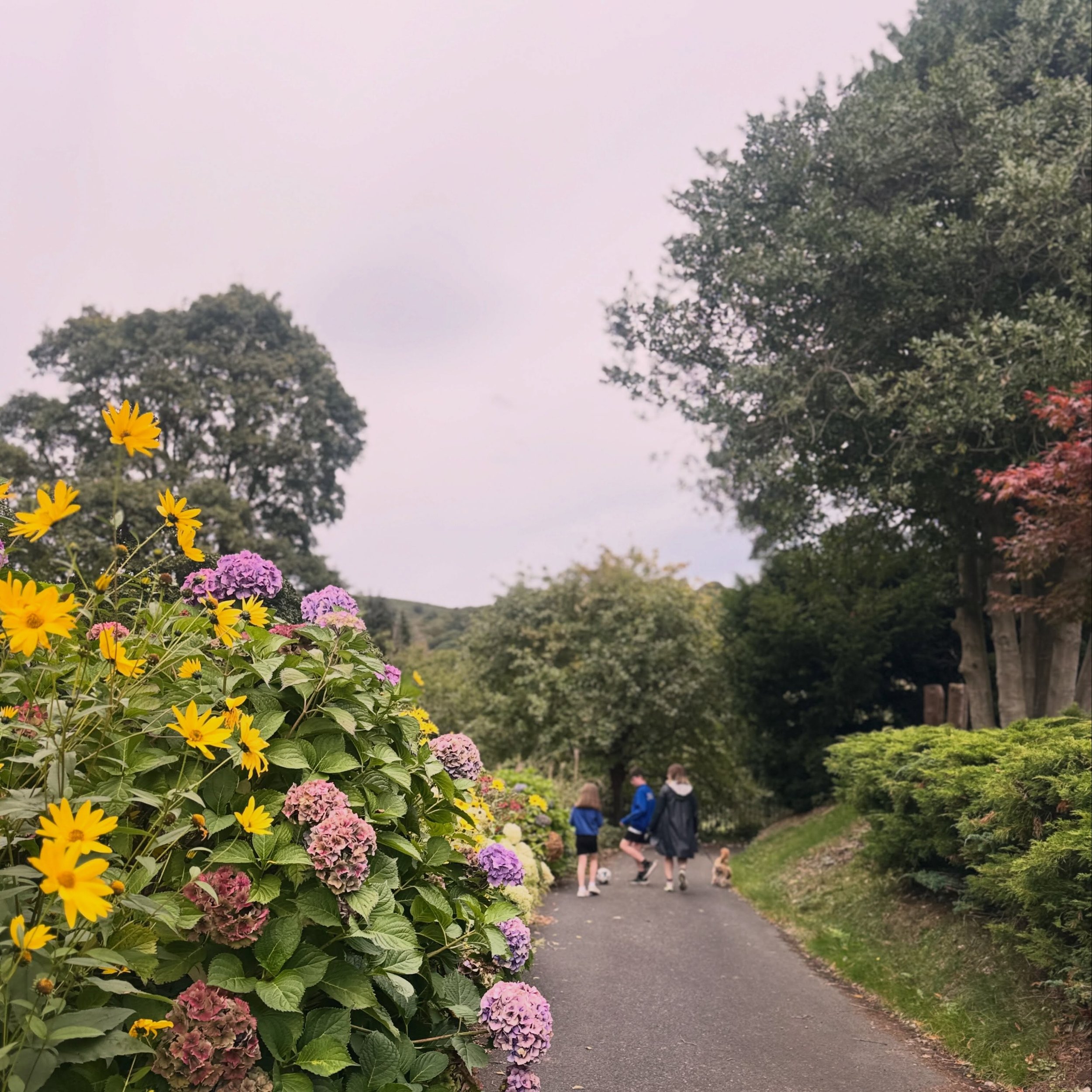 TAKING TIME OUT 
Work has been incredible lately. The kind of busy I can happily get lost in. But every now and then, I look up and remember I&rsquo;m needed elsewhere too.

A little fresh air, a little colour, a little perspective. 

Appreciating co