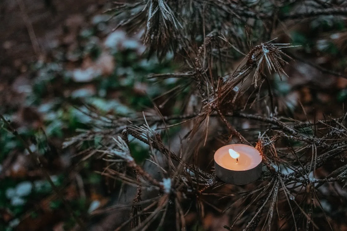 WHISPERS OF WINTER: CACAO + SHAMANIC SOUND JOURNEY with Melisa Karasu &amp; Root + Weave