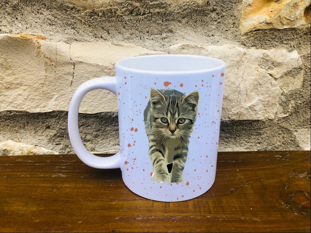 https://i.etsystatic.com/30530033/r/il/ab4a99/3368084937/il_fullxfull.3368084937_feyx.jpg