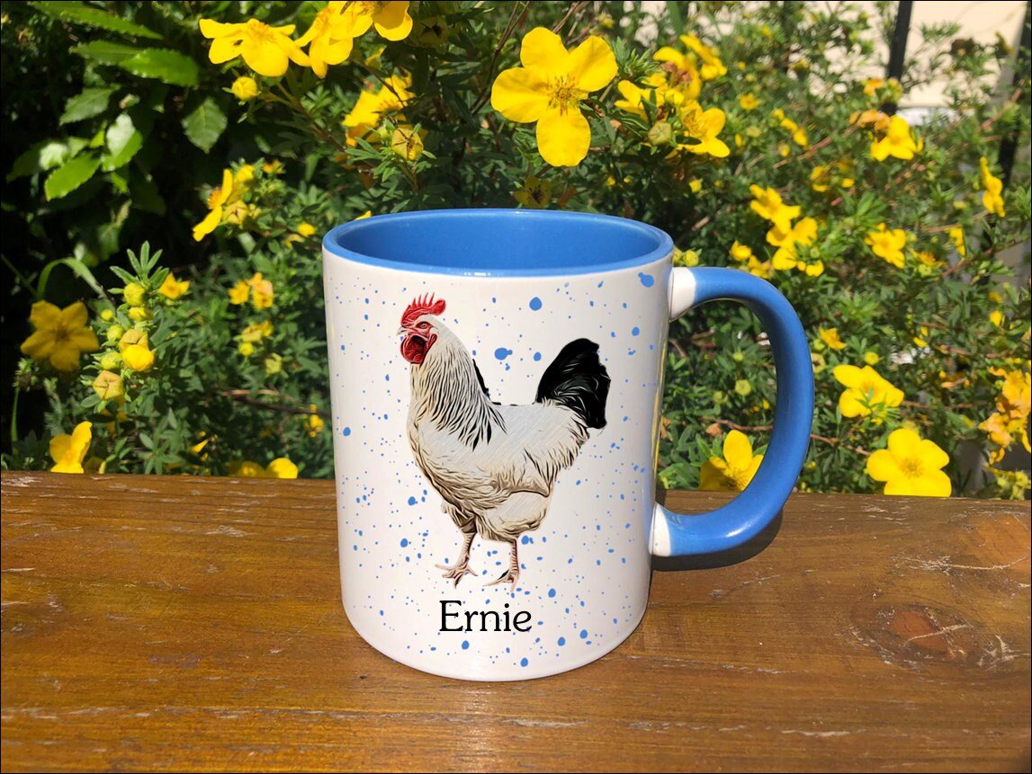 https://i.etsystatic.com/30530033/r/il/17aed0/3326394478/il_fullxfull.3326394478_onud.jpg