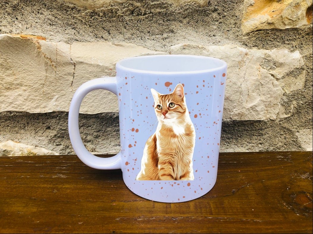 https://i.etsystatic.com/30530033/r/il/5aba05/3320476252/il_fullxfull.3320476252_c55e.jpg
