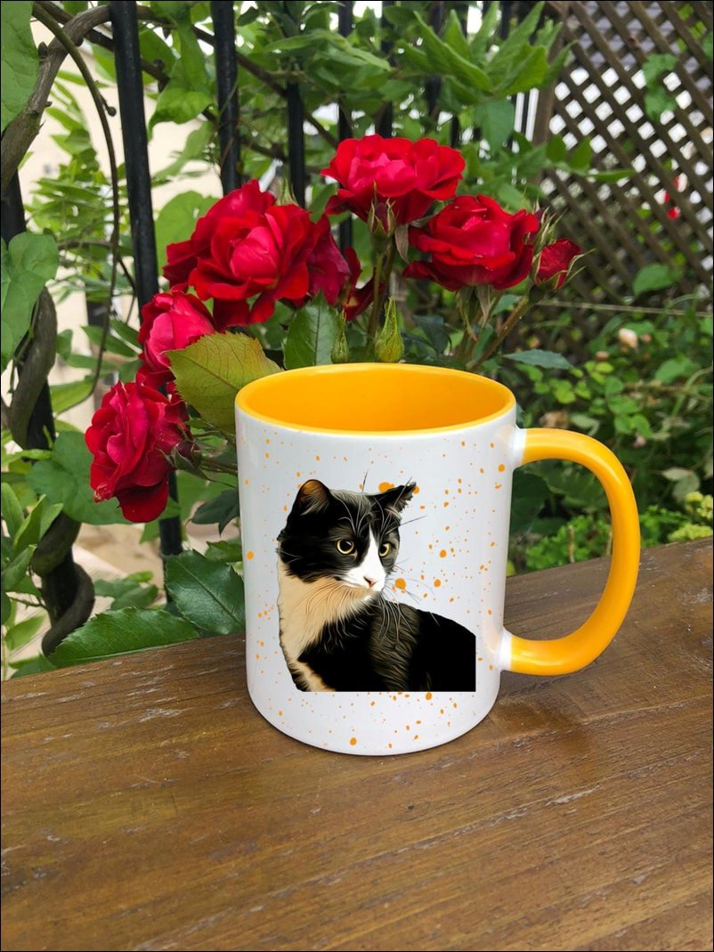 https://i.etsystatic.com/30530033/r/il/672658/3320465624/il_fullxfull.3320465624_1sq9.jpg