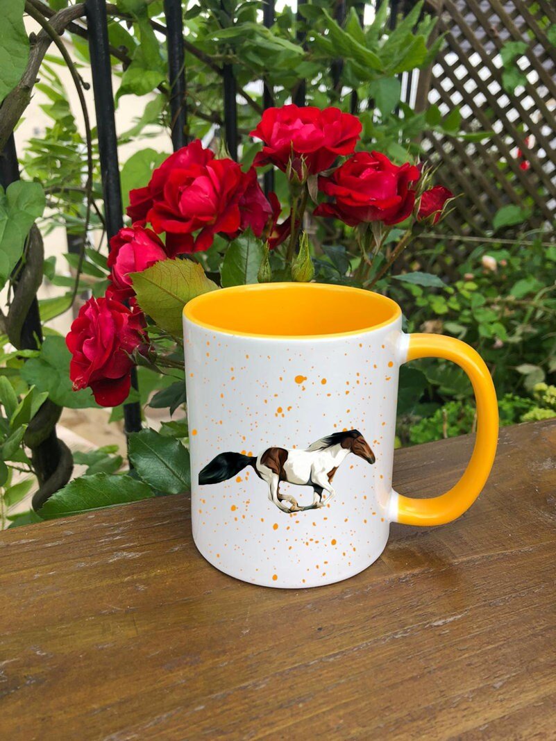 https://i.etsystatic.com/30530033/r/il/8a0586/3348759214/il_fullxfull.3348759214_4myg.jpg