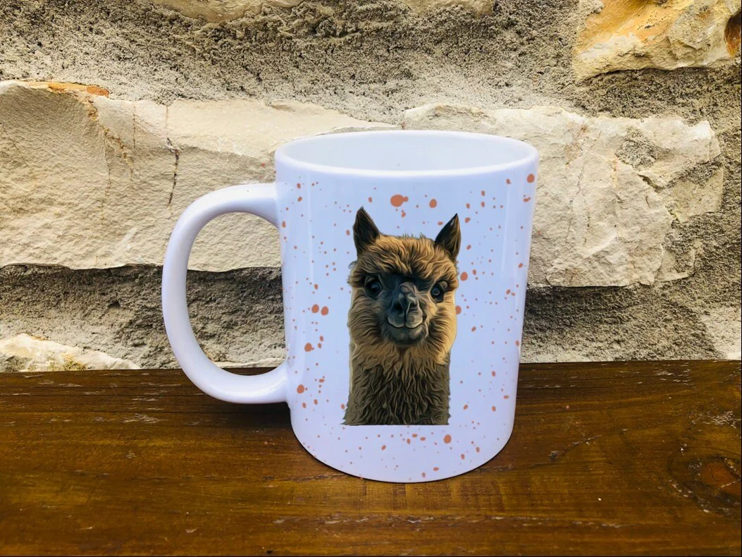 https://i.etsystatic.com/30530033/r/il/88208b/3374155357/il_fullxfull.3374155357_kao9.jpg