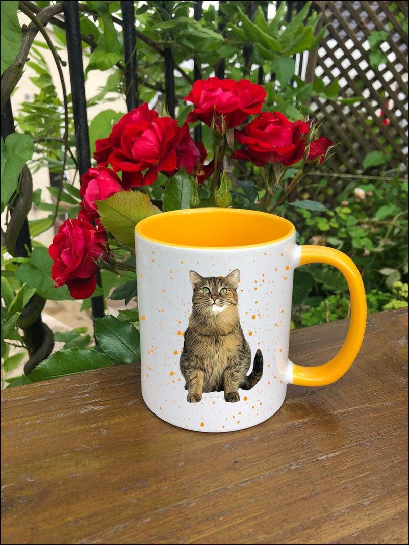 https://i.etsystatic.com/30530033/r/il/d7ae66/3320531856/il_fullxfull.3320531856_1u3d.jpg