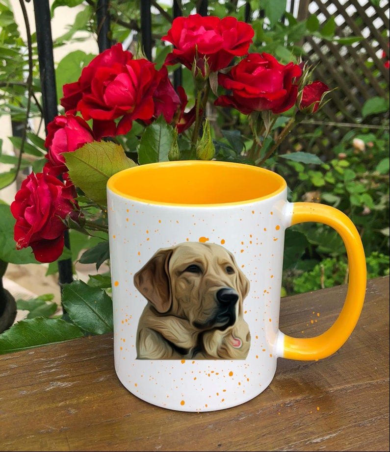 https://i.etsystatic.com/30530033/r/il/7aa14a/3218435880/il_fullxfull.3218435880_ghmr.jpg