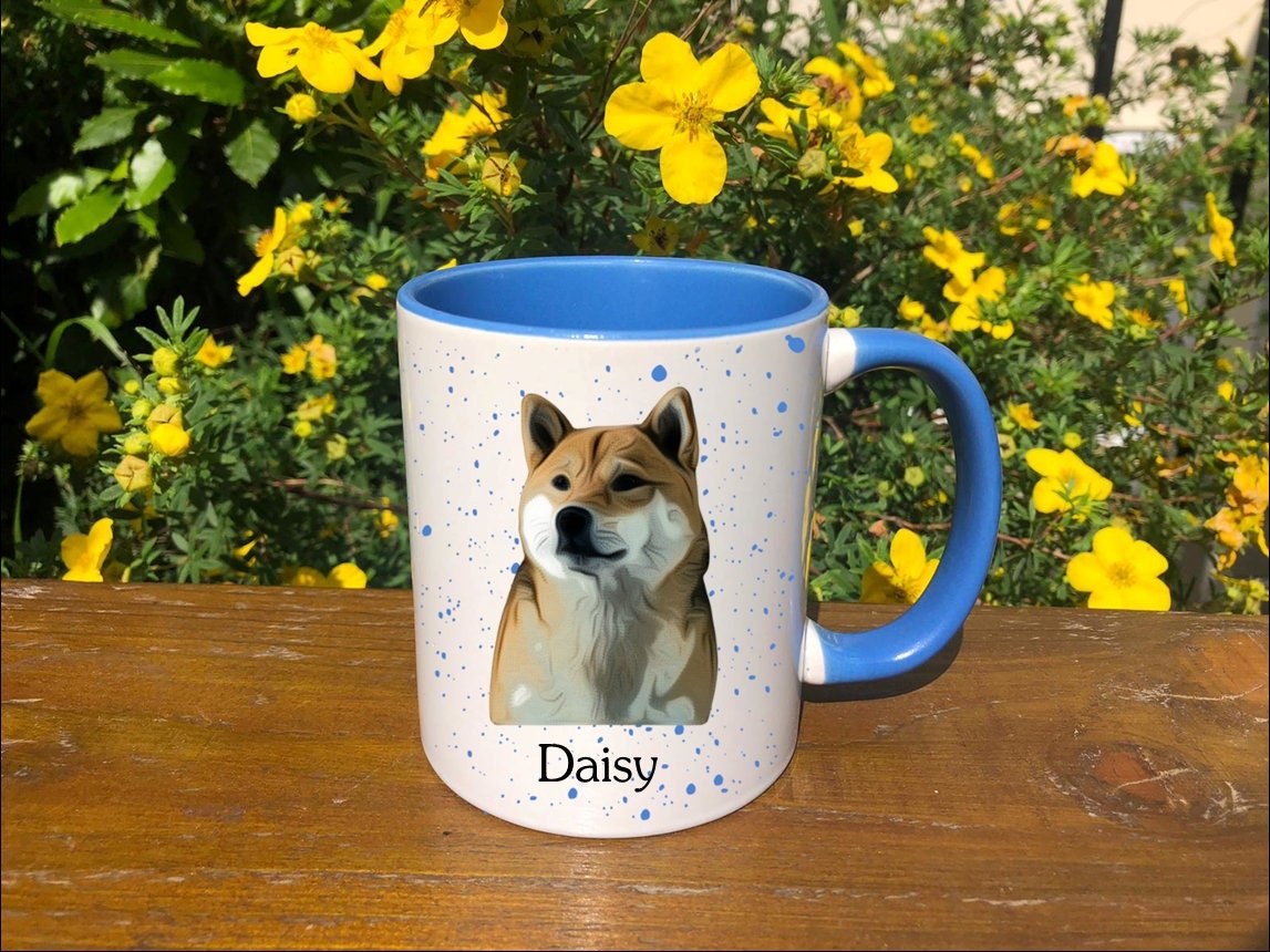 https://i.etsystatic.com/30530033/r/il/72cc85/3221796146/il_fullxfull.3221796146_dxch.jpg