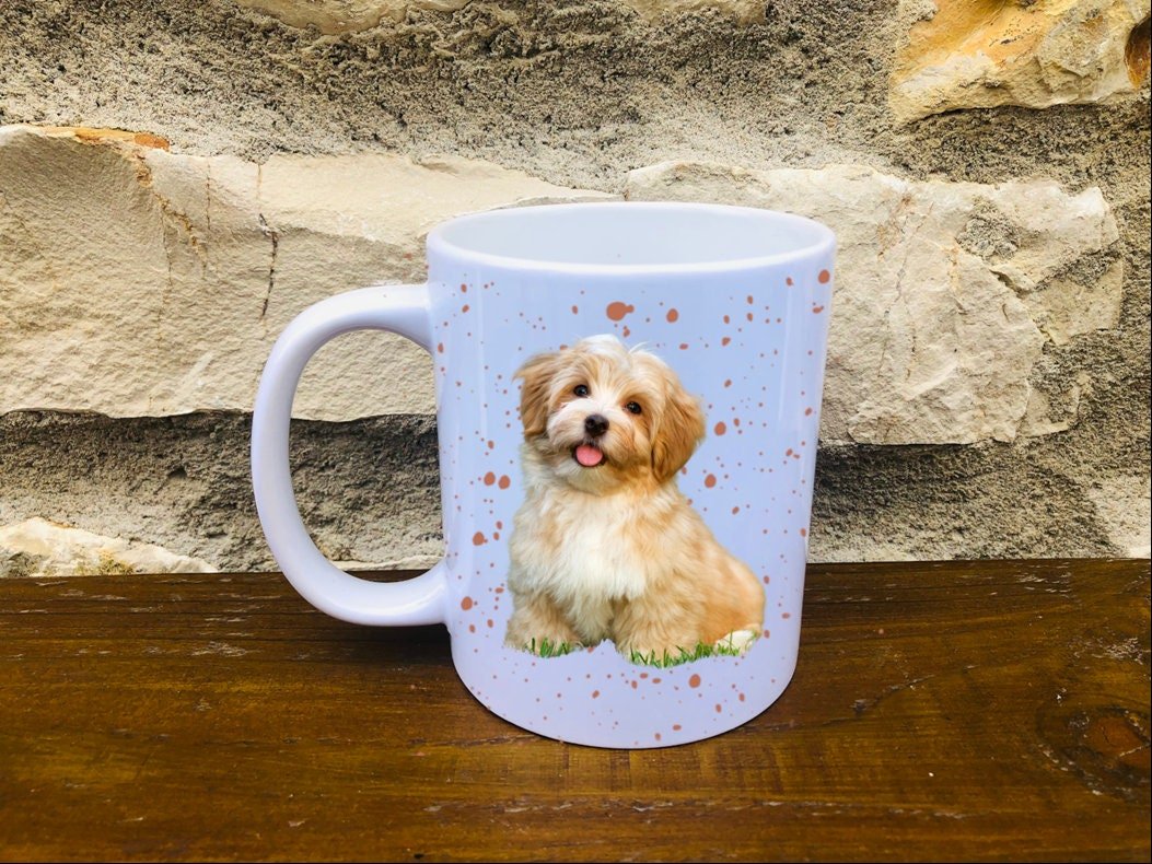 https://i.etsystatic.com/30530033/r/il/34fab1/3304020114/il_fullxfull.3304020114_3gnv.jpg