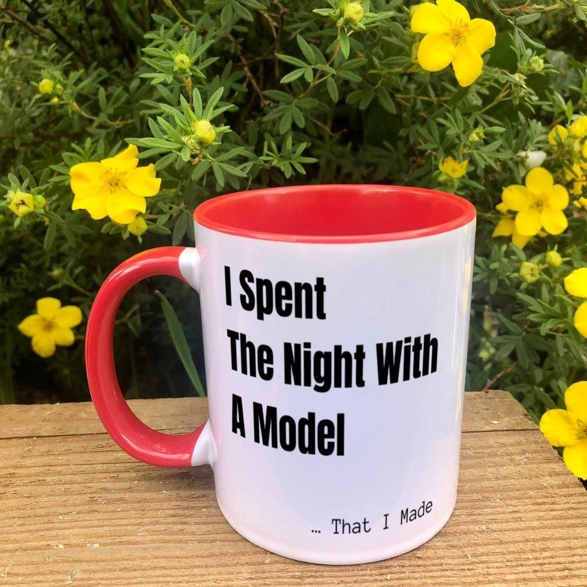 https://i.etsystatic.com/30530033/r/il/38b222/3867280103/il_fullxfull.3867280103_bpui.jpg