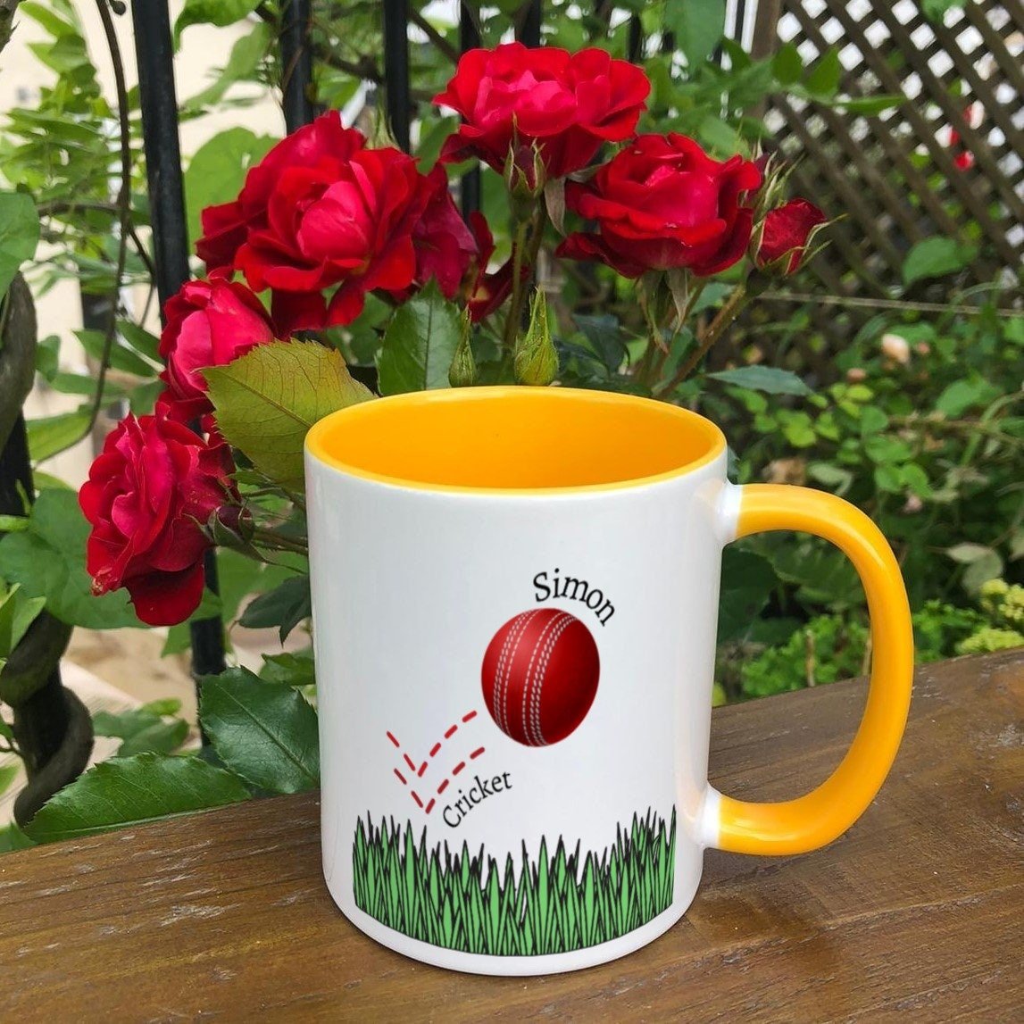 https://i.etsystatic.com/30530033/r/il/25742e/3874464713/il_fullxfull.3874464713_qj8x.jpg
