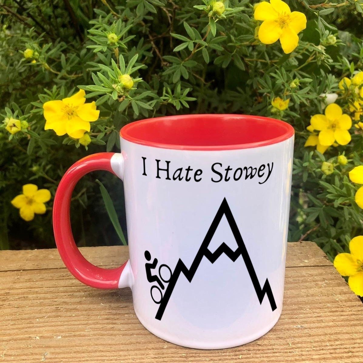 https://i.etsystatic.com/30530033/r/il/cb97c3/3881190457/il_fullxfull.3881190457_46wk.jpg