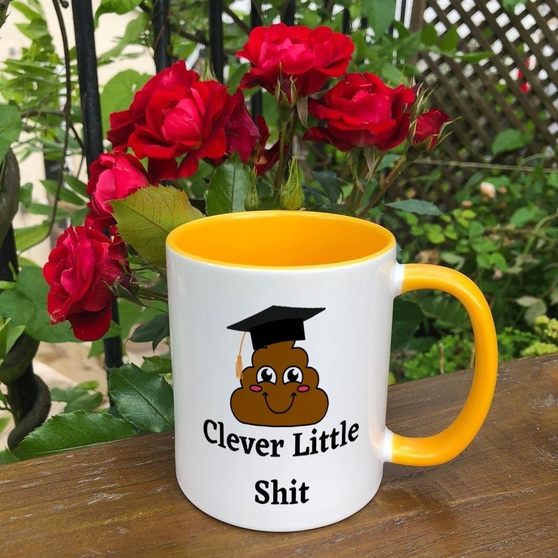 https://i.etsystatic.com/30530033/r/il/d68ea7/3820086820/il_fullxfull.3820086820_3avd.jpg