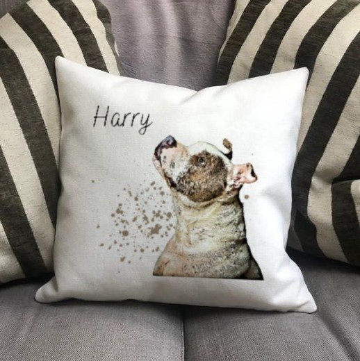 https://i.etsystatic.com/30530033/r/il/6b0043/4312486048/il_fullxfull.4312486048_eatr.jpg