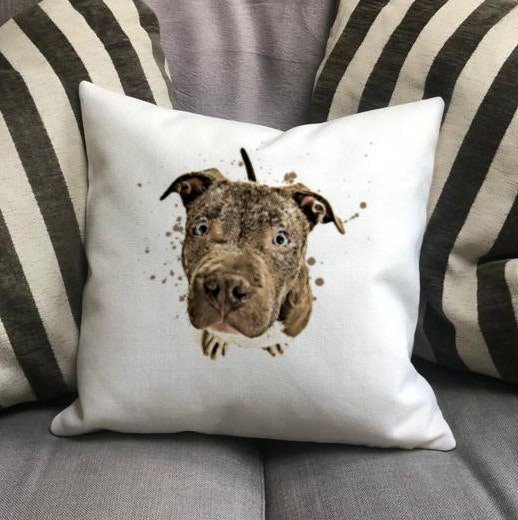 https://i.etsystatic.com/30530033/r/il/71ee72/4359878537/il_fullxfull.4359878537_6xka.jpg