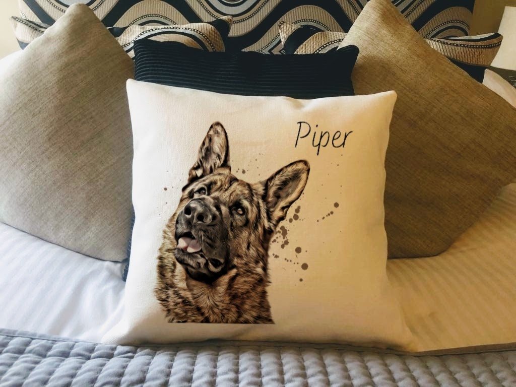 https://i.etsystatic.com/30530033/r/il/dbe0f3/4312350352/il_fullxfull.4312350352_pudf.jpg