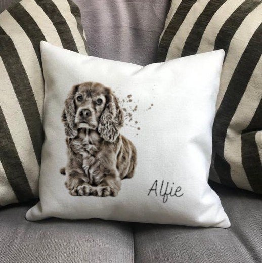 https://i.etsystatic.com/30530033/r/il/3646dc/4312197460/il_fullxfull.4312197460_siyk.jpg