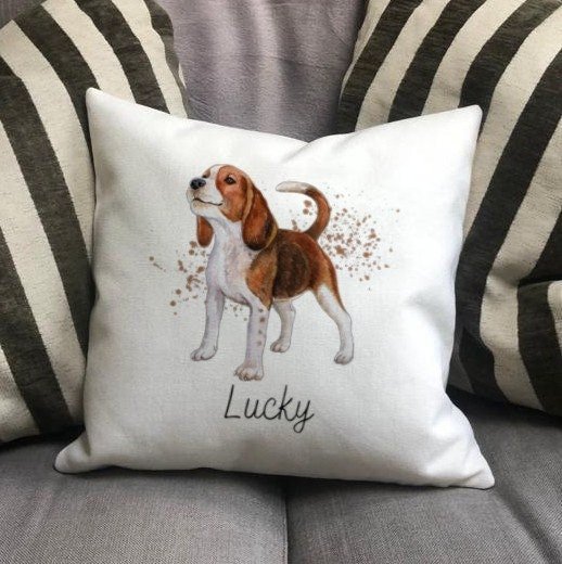 https://i.etsystatic.com/30530033/r/il/90b094/4312122986/il_fullxfull.4312122986_nssj.jpg