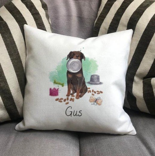 https://i.etsystatic.com/30530033/r/il/81b154/4312068122/il_fullxfull.4312068122_81ex.jpg