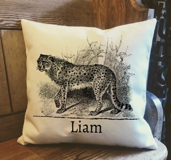https://i.etsystatic.com/30530033/r/il/4ea908/4347348471/il_fullxfull.4347348471_evy1.jpg
