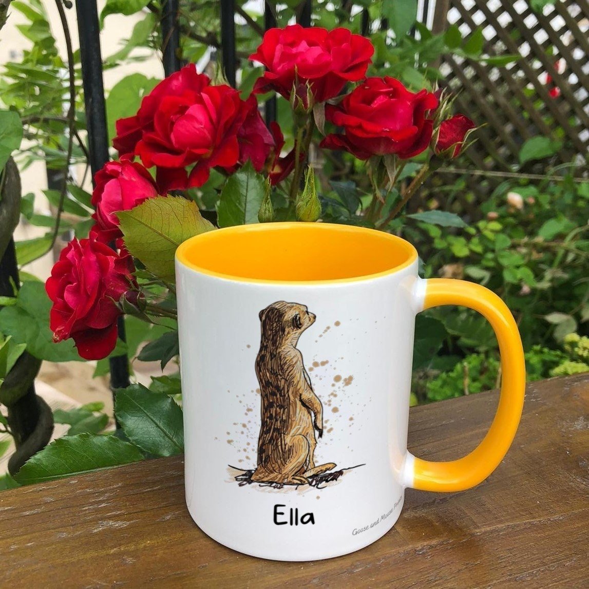 https://i.etsystatic.com/30530033/r/il/64f82a/4814522102/il_fullxfull.4814522102_ebq2.jpg