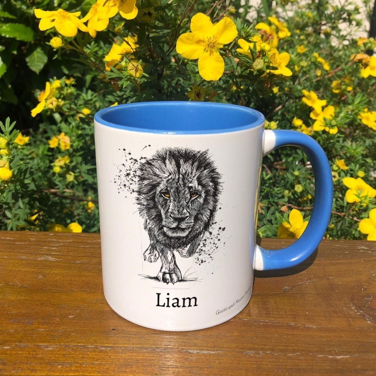 https://i.etsystatic.com/30530033/r/il/70e7ab/4862763149/il_fullxfull.4862763149_pnd7.jpg