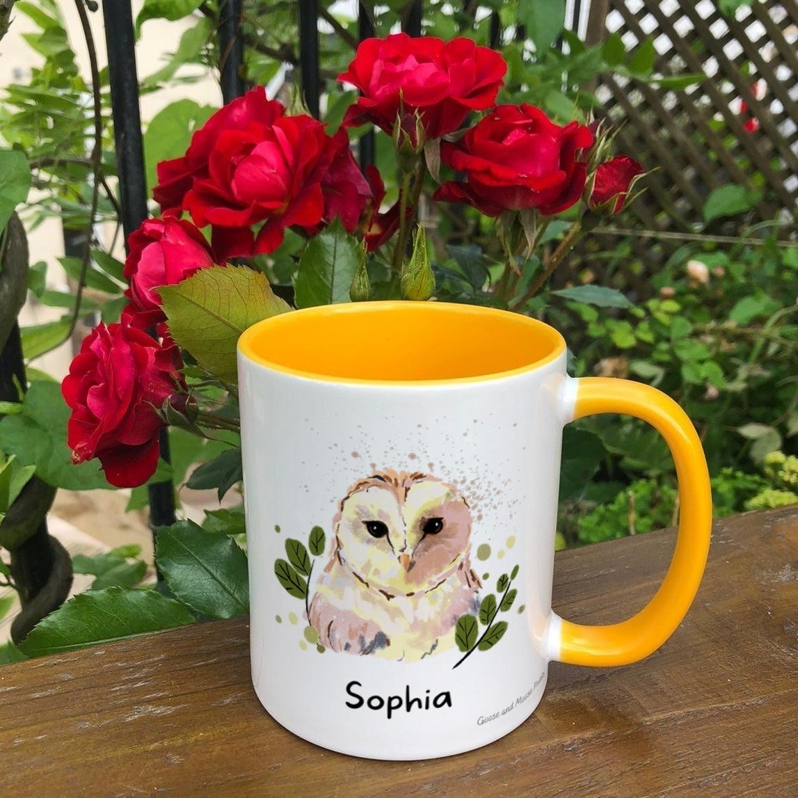 https://i.etsystatic.com/30530033/r/il/83b32c/4811351396/il_fullxfull.4811351396_1i51.jpg