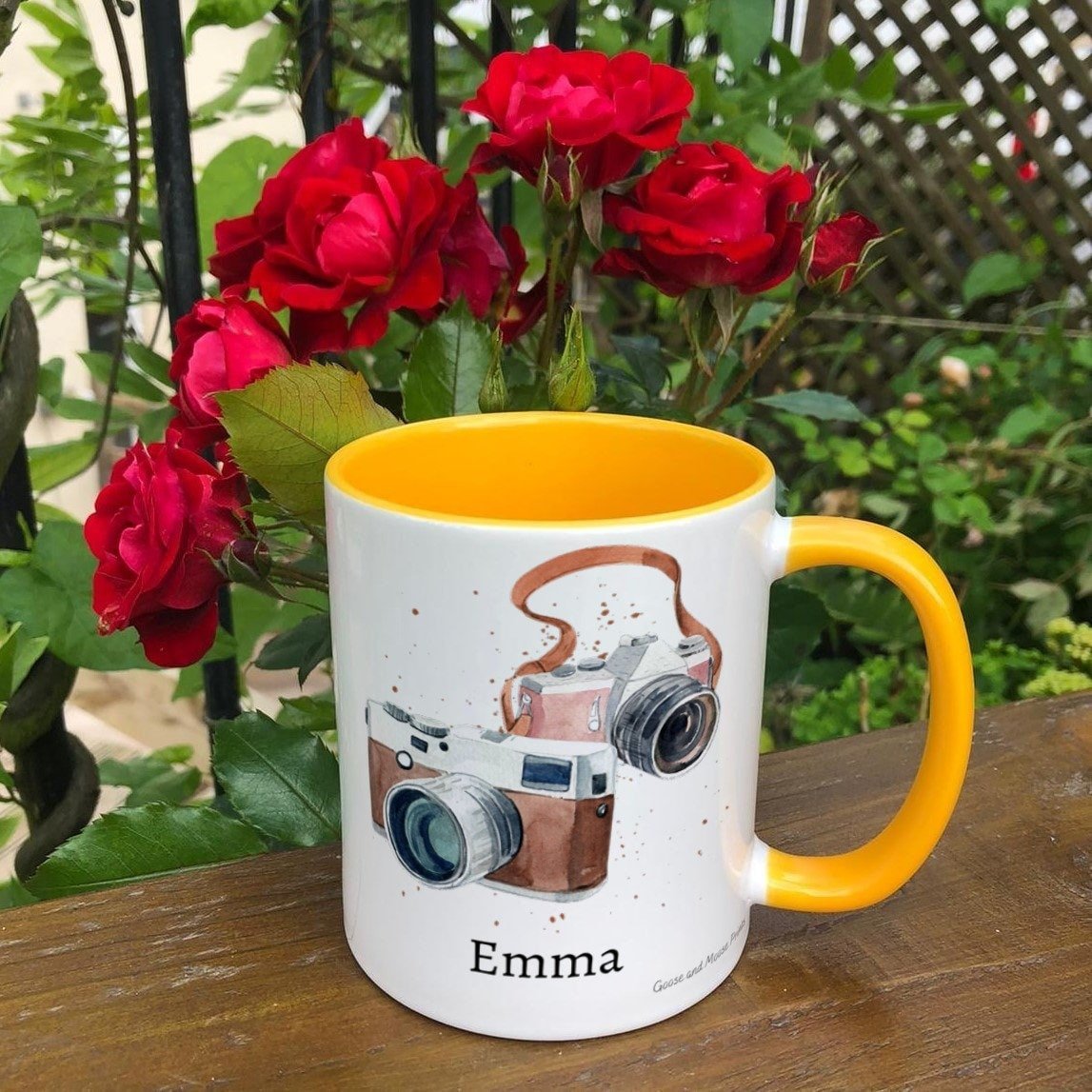 https://i.etsystatic.com/30530033/r/il/a56f11/4808141822/il_fullxfull.4808141822_597x.jpg