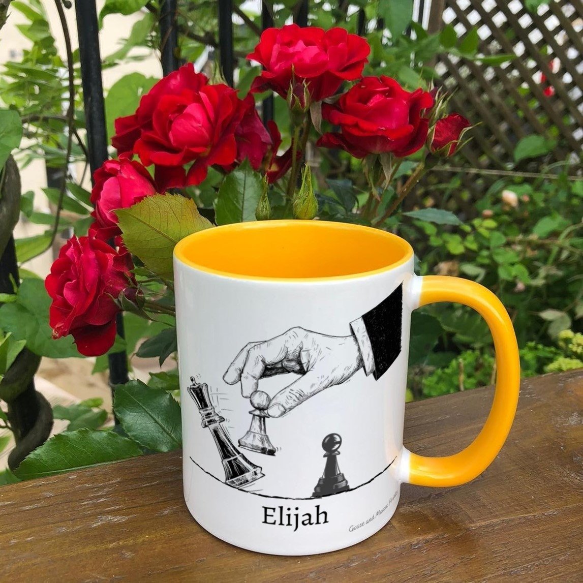 https://i.etsystatic.com/30530033/r/il/791c47/4853248387/il_fullxfull.4853248387_b51y.jpg