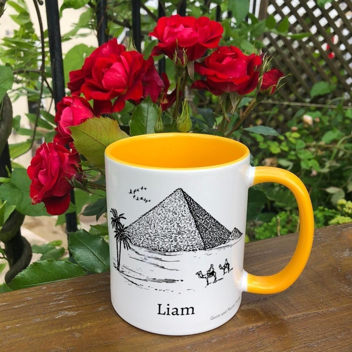 https://i.etsystatic.com/30530033/r/il/0b82f6/4853139721/il_fullxfull.4853139721_2grp.jpg