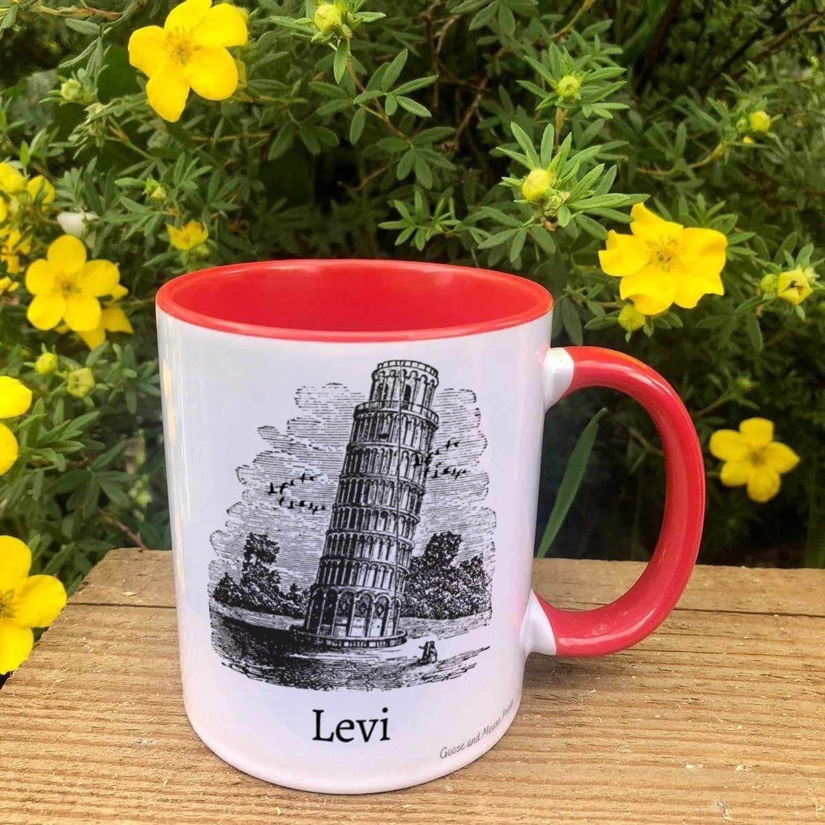 https://i.etsystatic.com/30530033/r/il/5b1cb6/4804842694/il_fullxfull.4804842694_9g2m.jpg