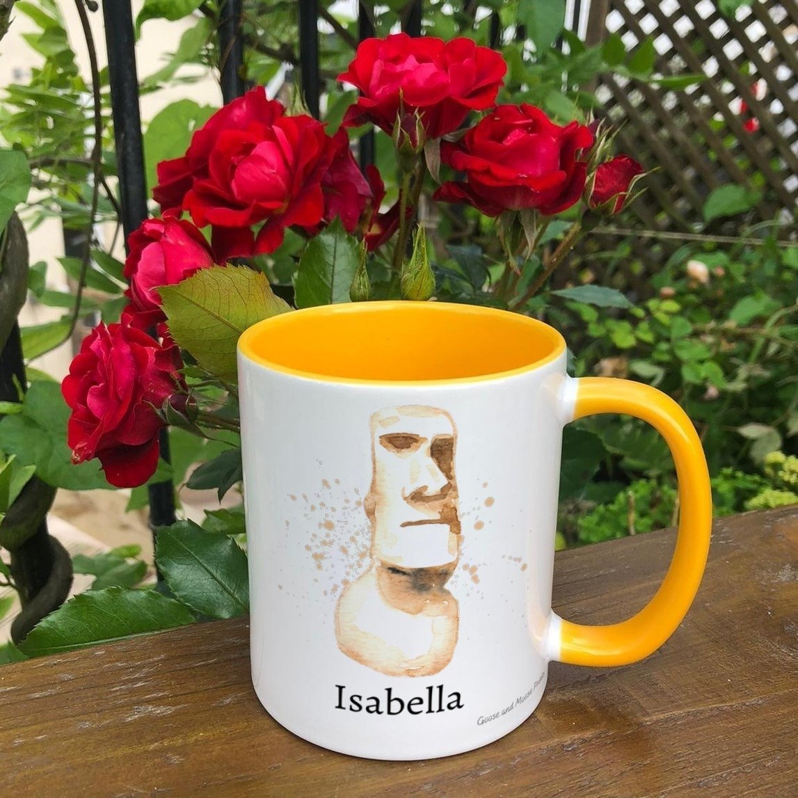 https://i.etsystatic.com/30530033/r/il/ec43b6/4853006535/il_fullxfull.4853006535_cel3.jpg