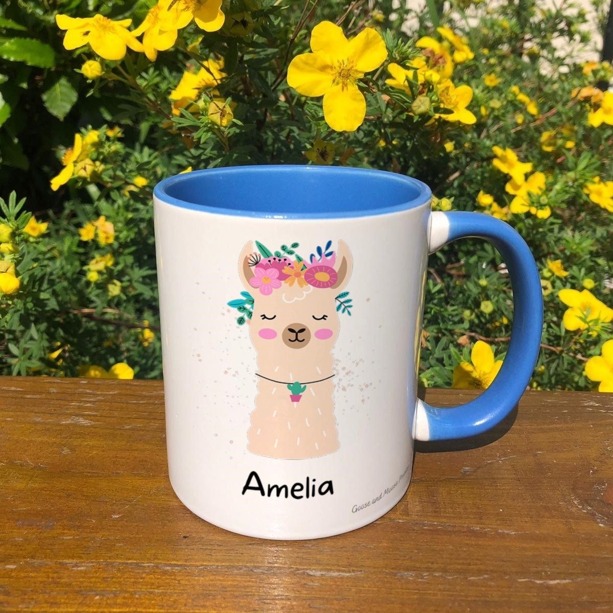 https://i.etsystatic.com/30530033/r/il/c535ab/4845177129/il_fullxfull.4845177129_ahut.jpg