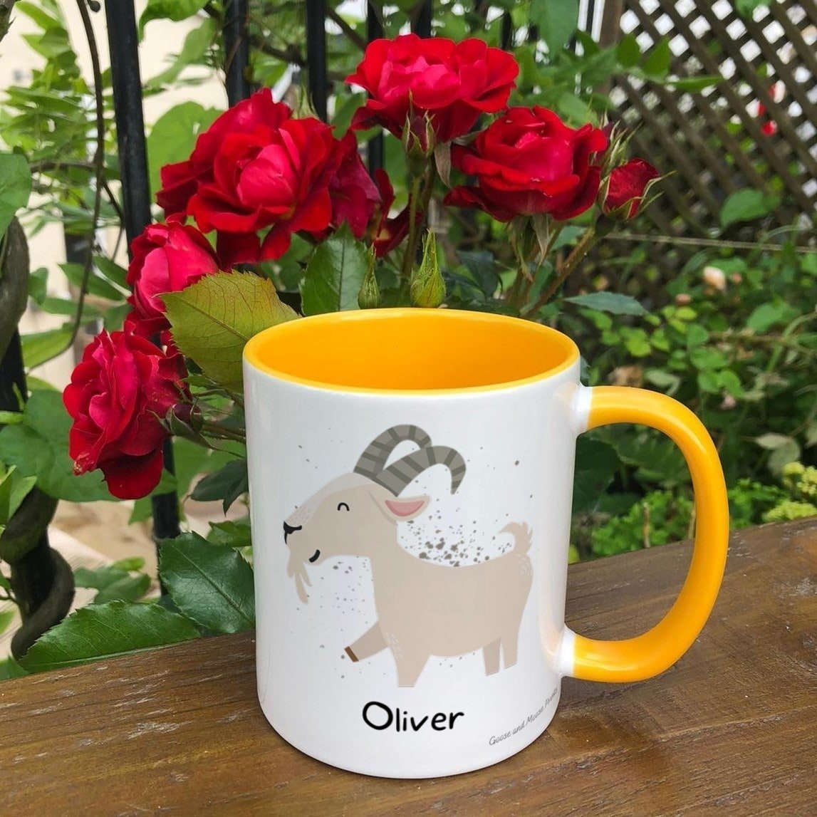 https://i.etsystatic.com/30530033/r/il/6de8df/4845170687/il_fullxfull.4845170687_jocr.jpg