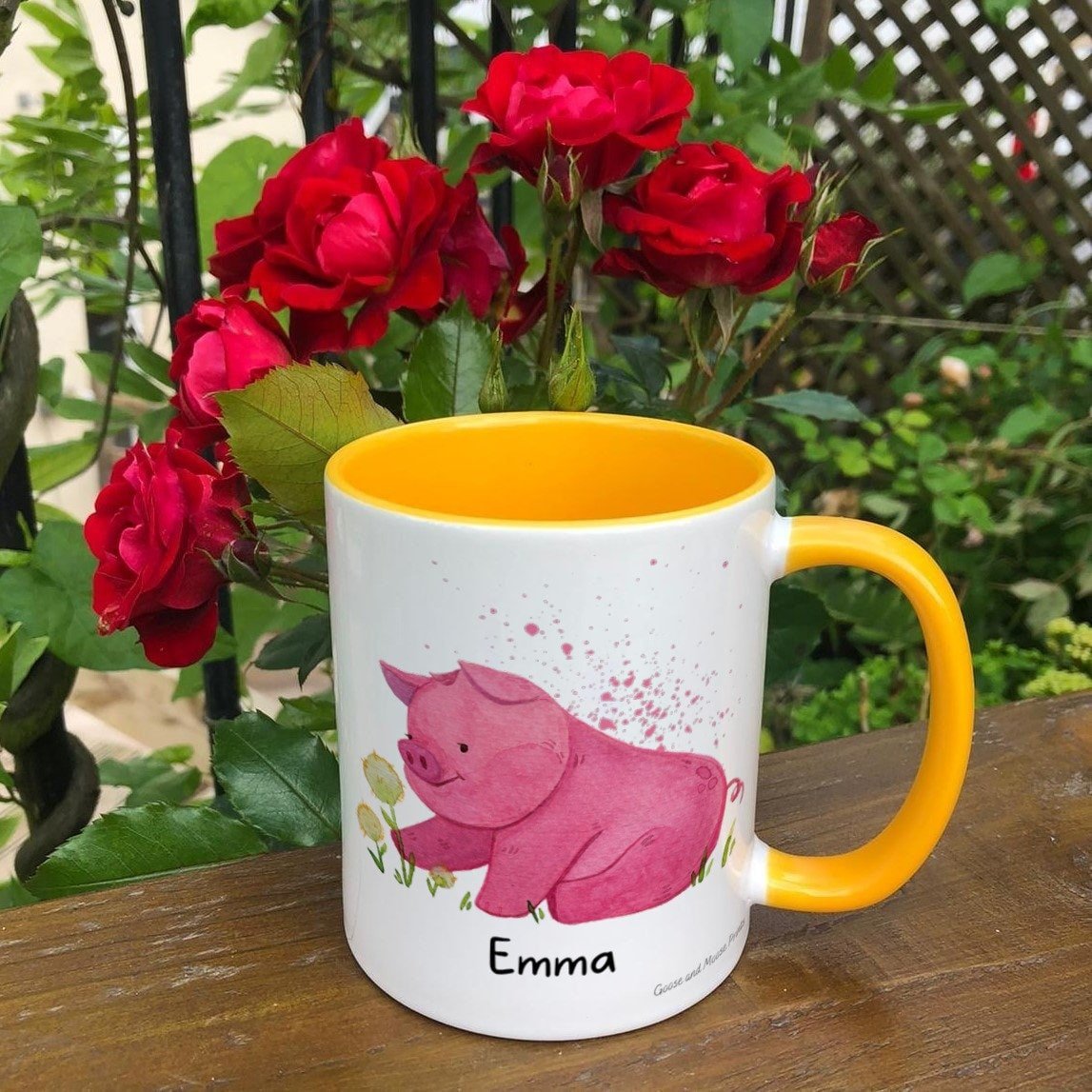 https://i.etsystatic.com/30530033/r/il/3588dc/4845152009/il_fullxfull.4845152009_adku.jpg