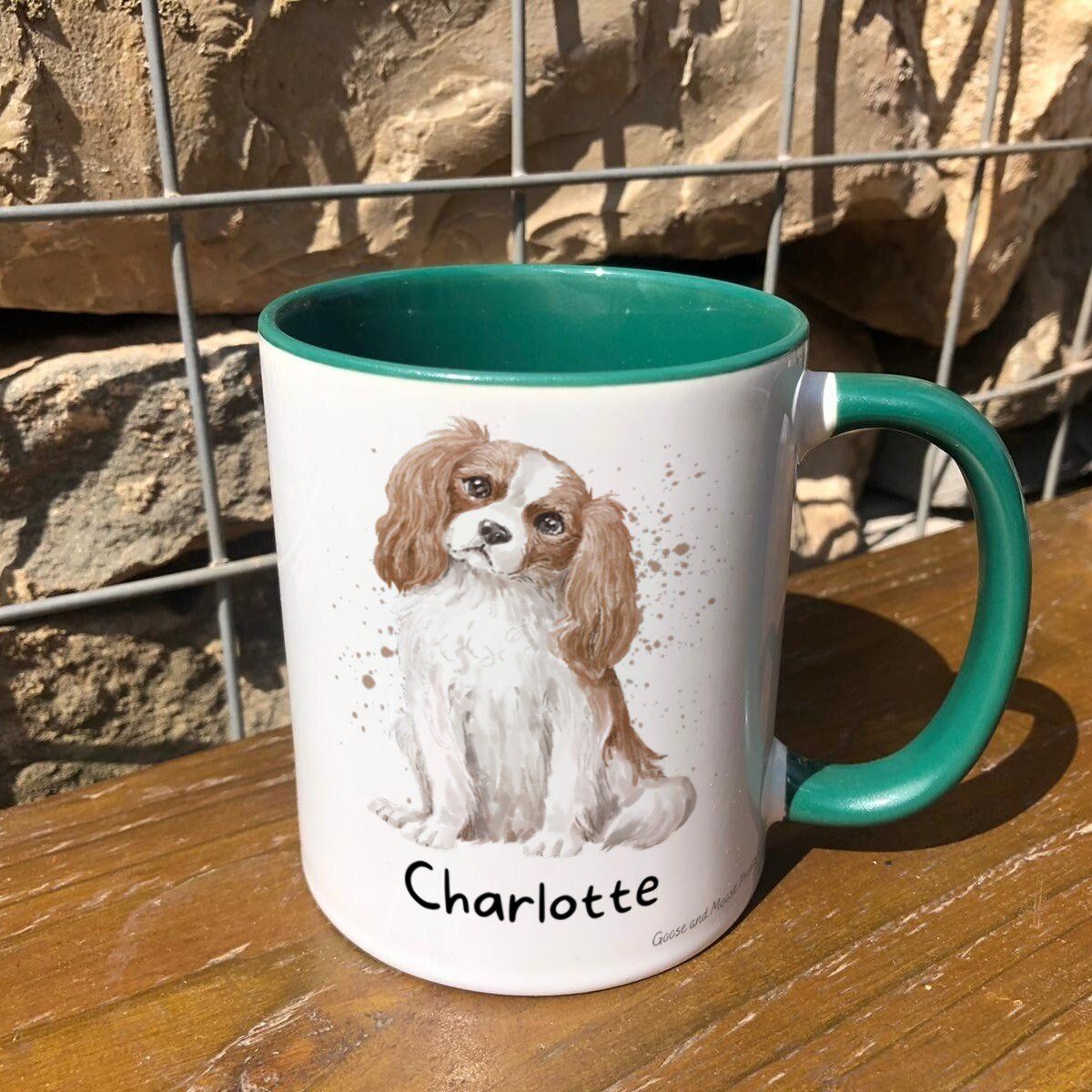 https://i.etsystatic.com/30530033/r/il/36e0a3/4796849972/il_fullxfull.4796849972_sp1c.jpg