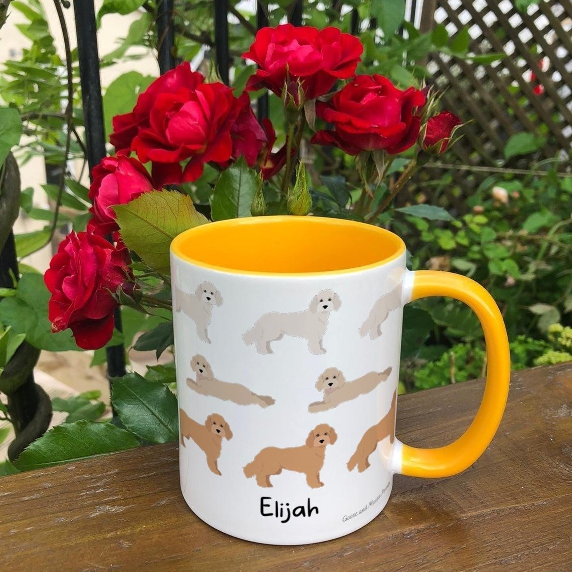 https://i.etsystatic.com/30530033/r/il/fc1751/4796742424/il_fullxfull.4796742424_pjip.jpg