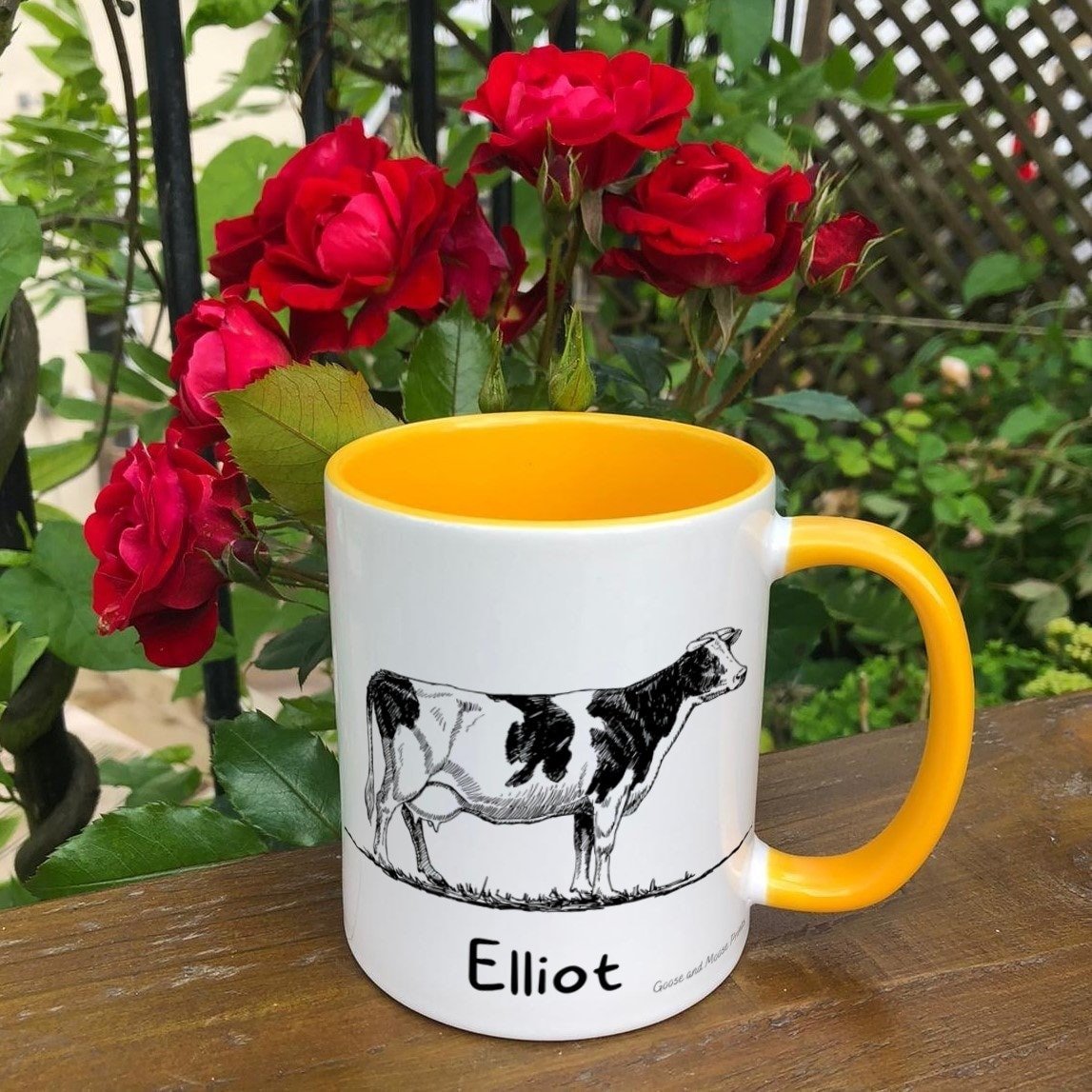 https://i.etsystatic.com/30530033/r/il/7c11b5/4991750507/il_fullxfull.4991750507_1jm6.jpg