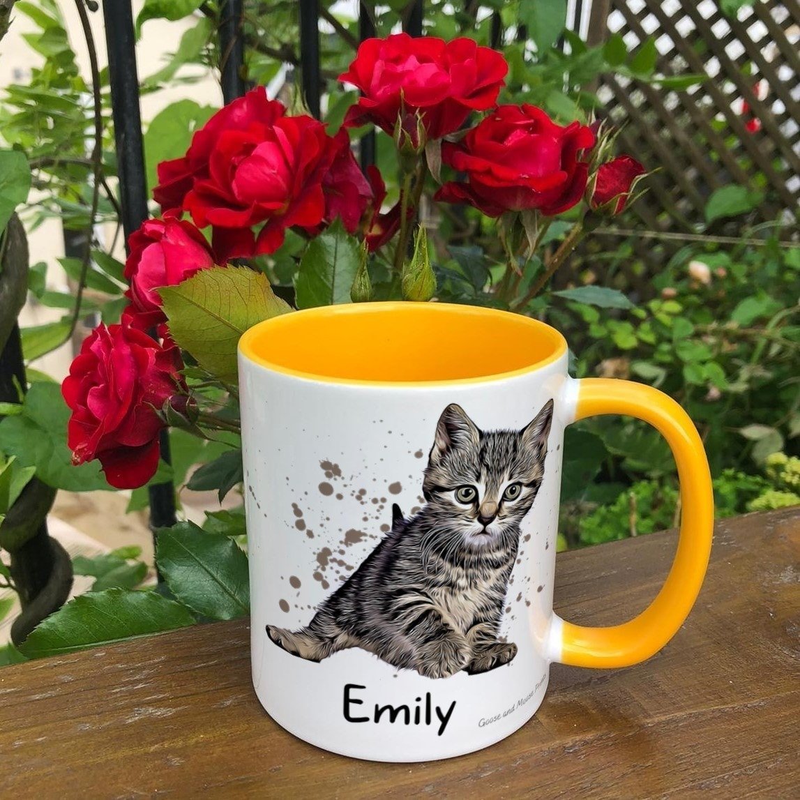 https://i.etsystatic.com/30530033/r/il/aa850e/4940303820/il_fullxfull.4940303820_hpti.jpg