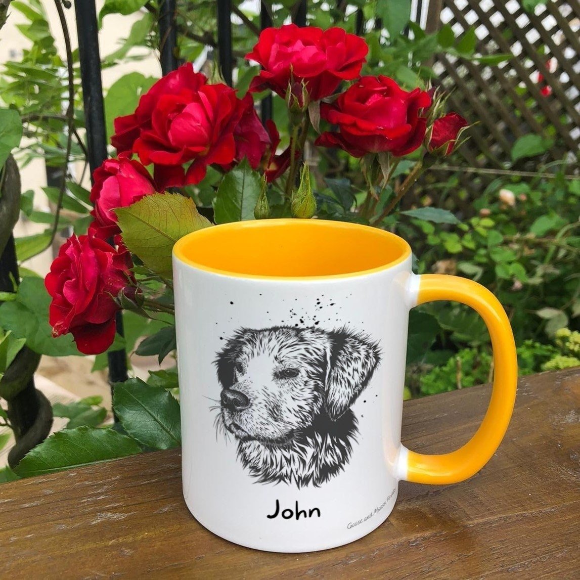 https://i.etsystatic.com/30530033/r/il/efadda/4844931649/il_fullxfull.4844931649_e57c.jpg