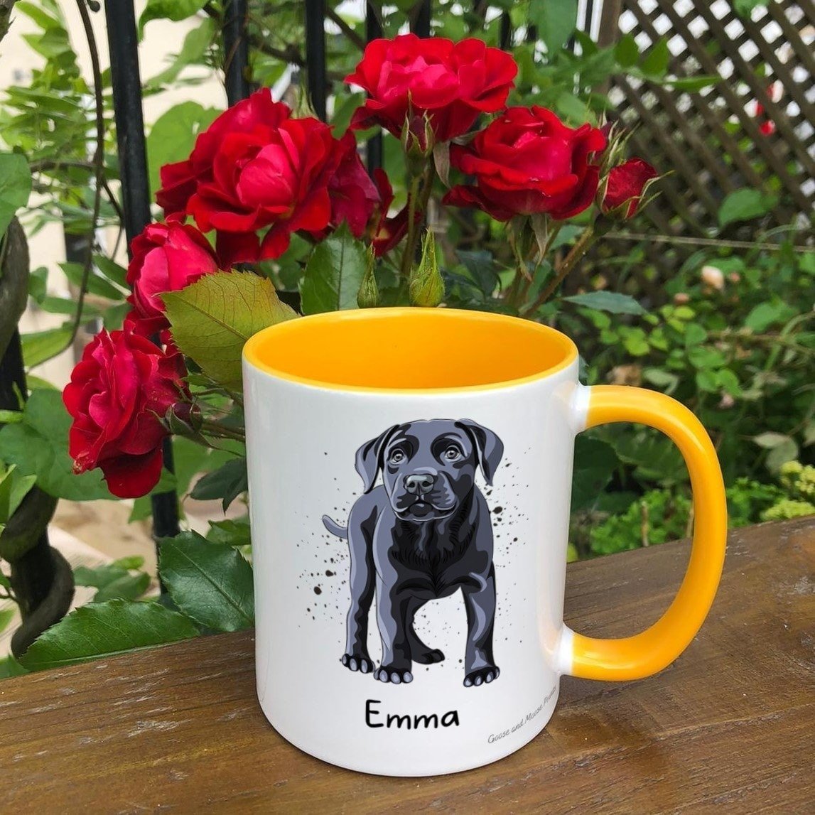 https://i.etsystatic.com/30530033/r/il/51dd13/4842693279/il_fullxfull.4842693279_hocb.jpg