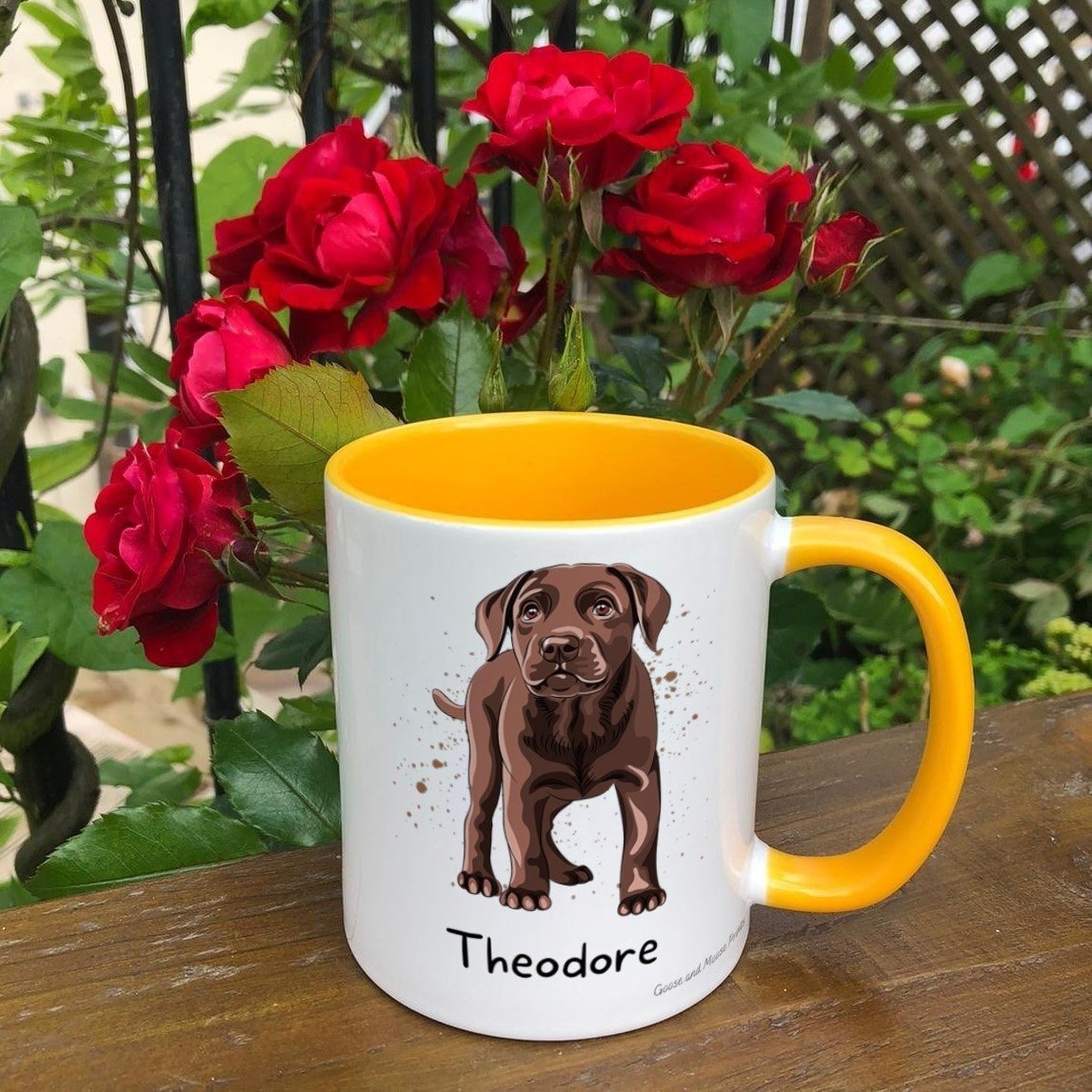 https://i.etsystatic.com/30530033/r/il/97646e/4842683635/il_fullxfull.4842683635_ivbb.jpg