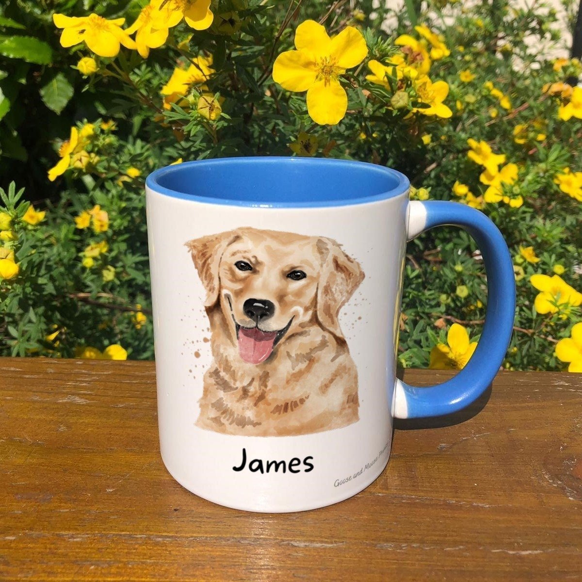 https://i.etsystatic.com/30530033/r/il/ded9f4/4842656497/il_fullxfull.4842656497_hwxa.jpg