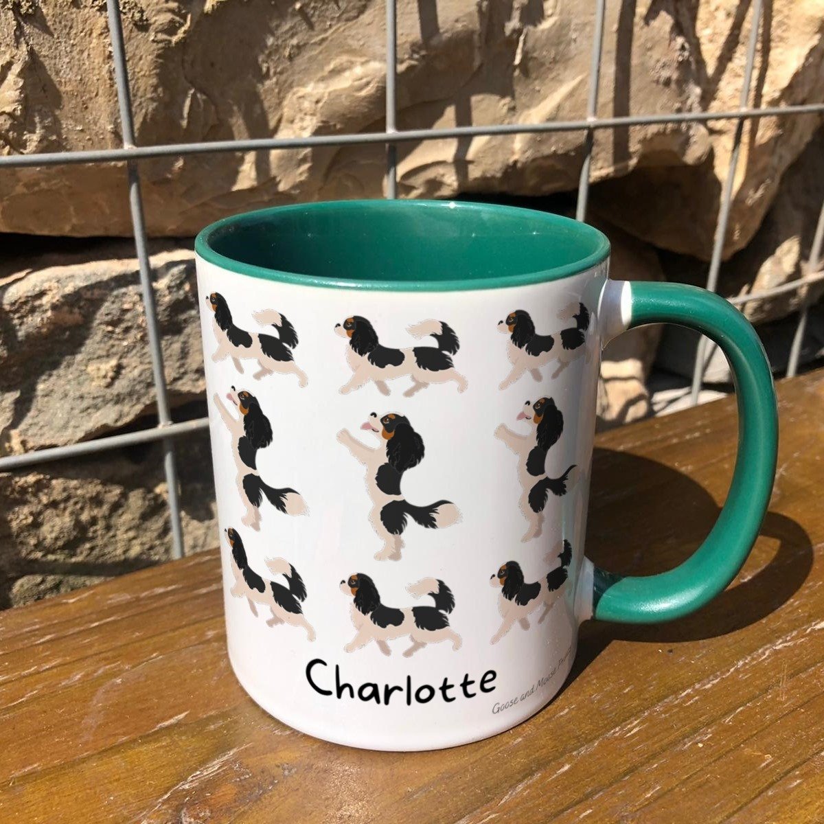 https://i.etsystatic.com/30530033/r/il/f698b2/4845003501/il_fullxfull.4845003501_i5x2.jpg