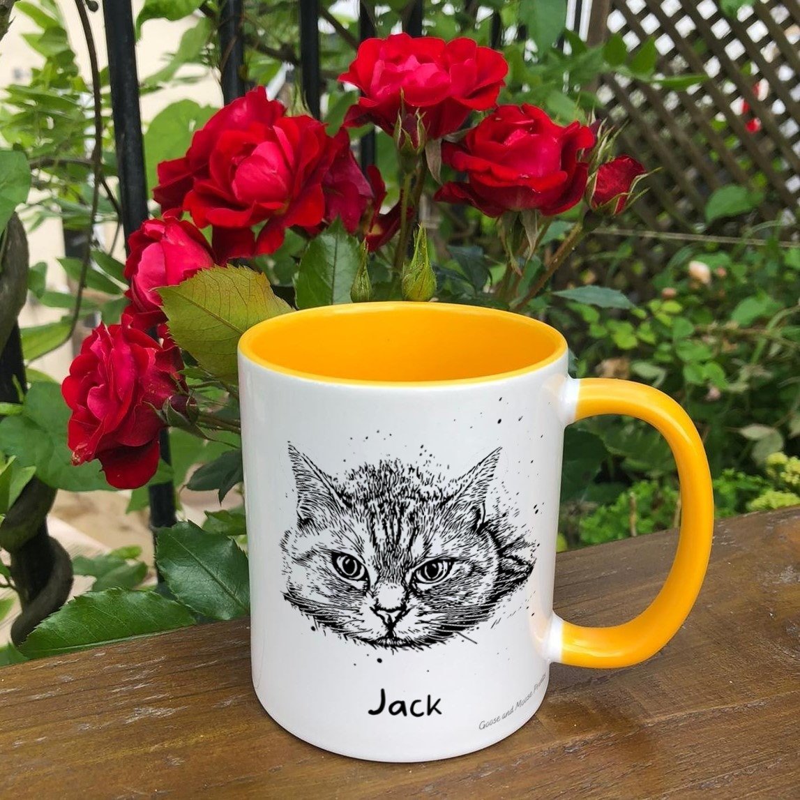 https://i.etsystatic.com/30530033/r/il/c6a12a/4842454857/il_fullxfull.4842454857_kltc.jpg