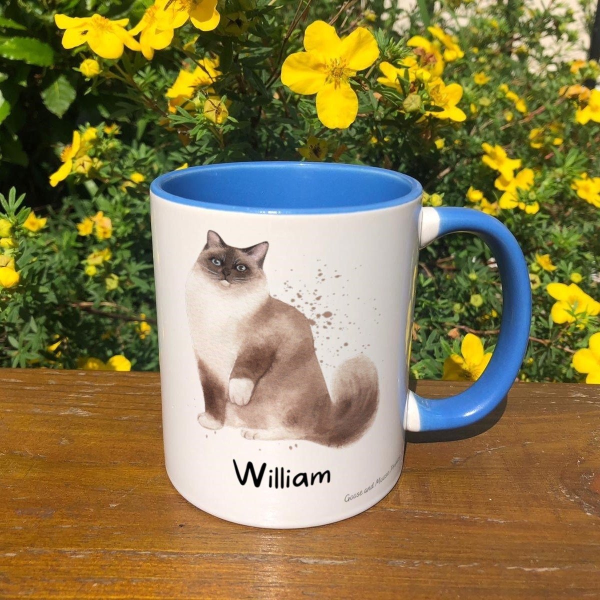https://i.etsystatic.com/30530033/r/il/1bb781/4794147920/il_fullxfull.4794147920_t42g.jpg