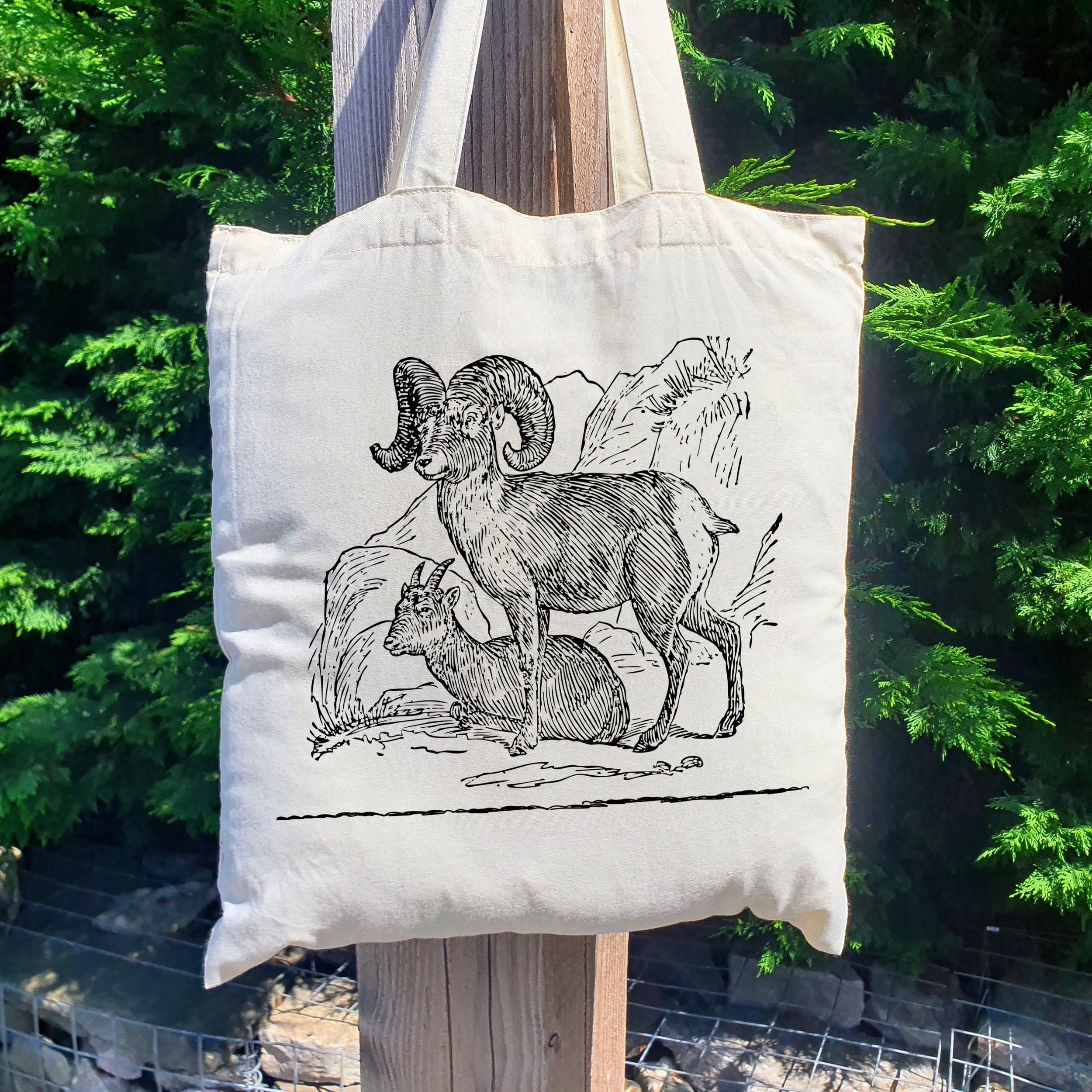 https://i.etsystatic.com/30530033/r/il/c3154b/5268058891/il_fullxfull.5268058891_oc03.jpg