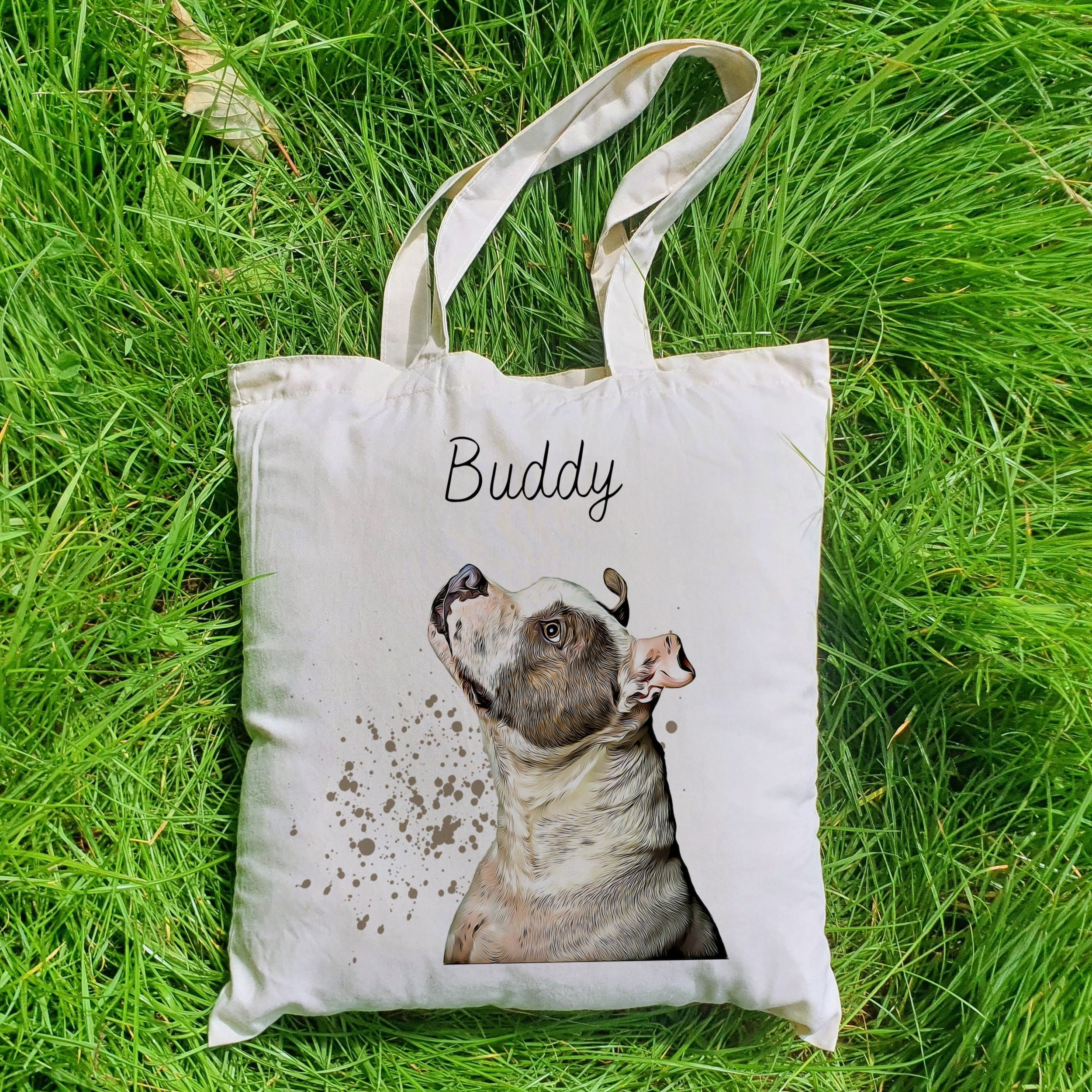 https://i.etsystatic.com/30530033/r/il/18b073/5277070703/il_fullxfull.5277070703_3sio.jpg