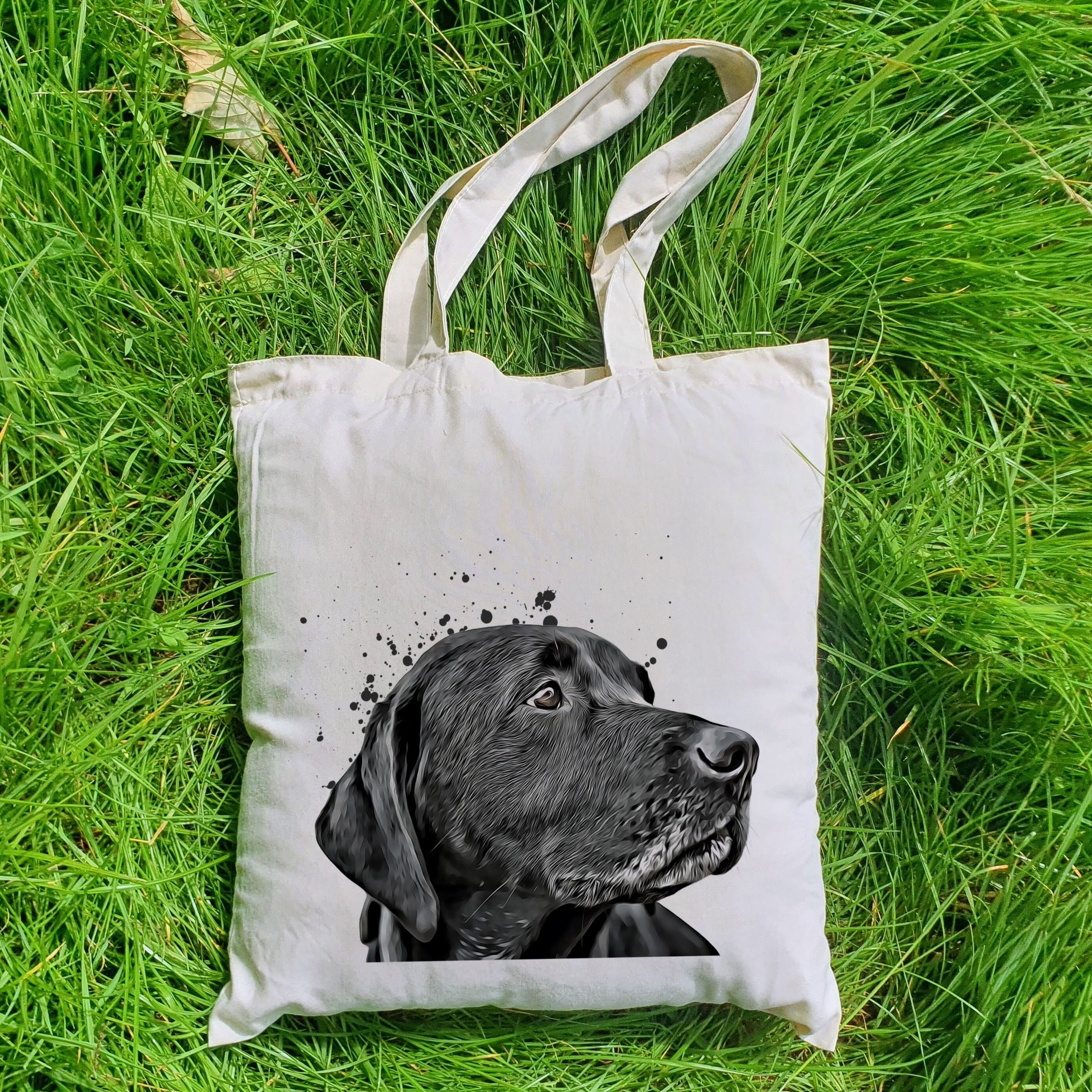 https://i.etsystatic.com/30530033/r/il/c3b3ff/5277045167/il_fullxfull.5277045167_22q1.jpg